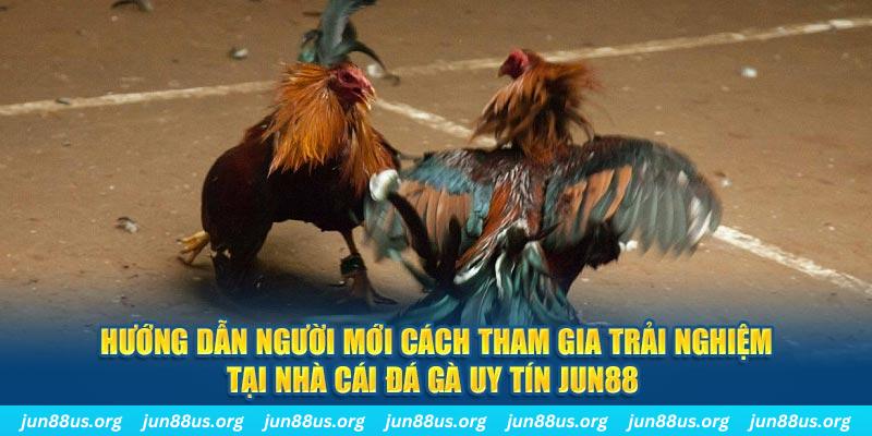 77win2 loi game dot kich ket noi may chu that bai