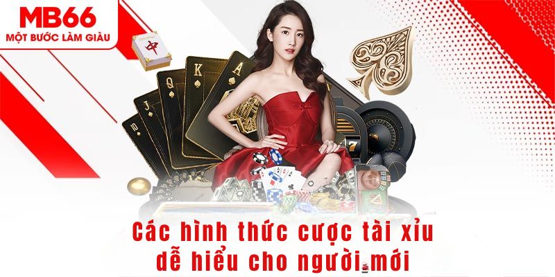 77win2 DG Trực Tuyến