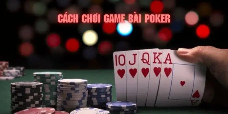 77win2 đăng nhập poker 2024