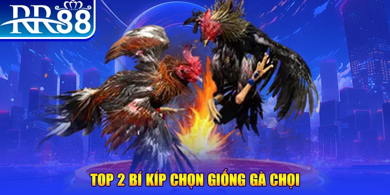 77win2 máy thu cước bắn cá