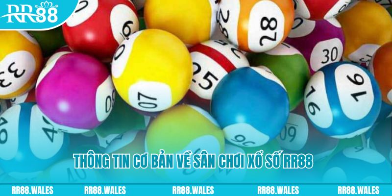 77win2 đá gà hôm nay