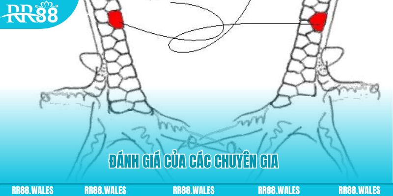 77win2 V8 Game Bài 3d