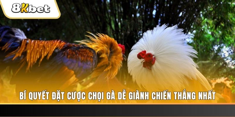 77win2 xổ số thứ hai hàng tuần