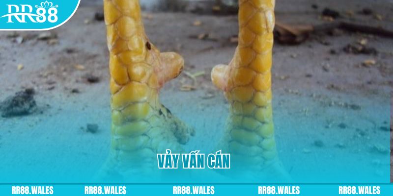 đăng nhập nổ hũ hôm nay