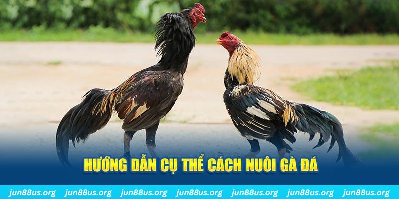 77win2 đăng nhập sòng bạc số 1