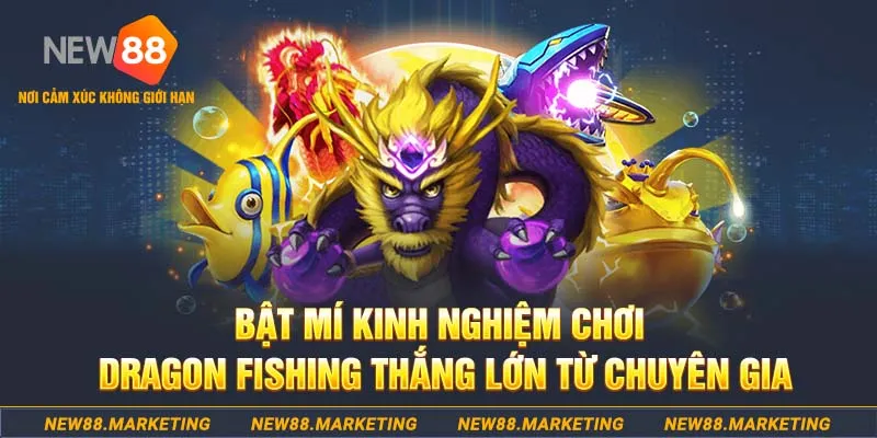 77win2 đăng nhập nổ hũ live