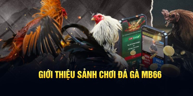 77win2 đăng nhập poker hôm nay